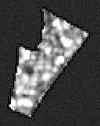 鶴間四丁目のSentinel-1 SAR後方散乱画像、変化後