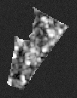 鶴間四丁目のSentinel-1 SAR後方散乱画像、造成前の基準期